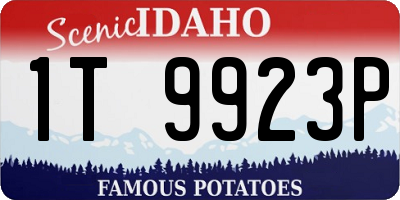 ID license plate 1T9923P