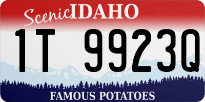 ID license plate 1T9923Q