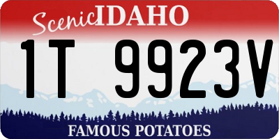 ID license plate 1T9923V