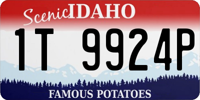 ID license plate 1T9924P