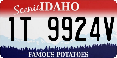 ID license plate 1T9924V