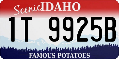 ID license plate 1T9925B