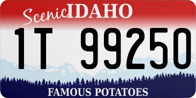 ID license plate 1T9925O