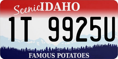 ID license plate 1T9925U