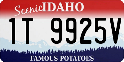 ID license plate 1T9925V