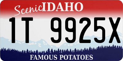 ID license plate 1T9925X