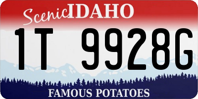 ID license plate 1T9928G