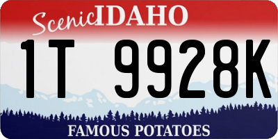 ID license plate 1T9928K