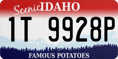 ID license plate 1T9928P