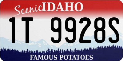 ID license plate 1T9928S