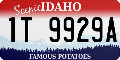 ID license plate 1T9929A