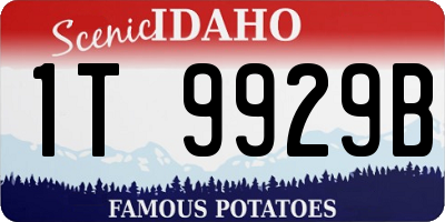 ID license plate 1T9929B