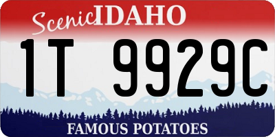 ID license plate 1T9929C