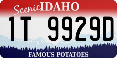 ID license plate 1T9929D