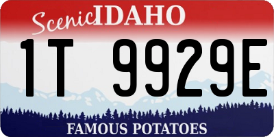 ID license plate 1T9929E