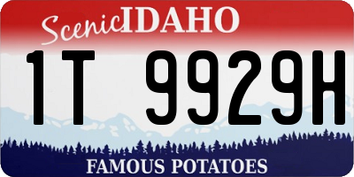 ID license plate 1T9929H