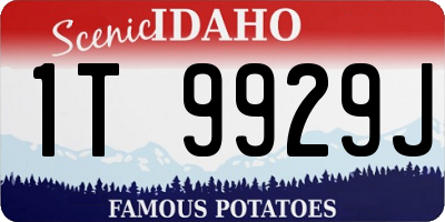 ID license plate 1T9929J