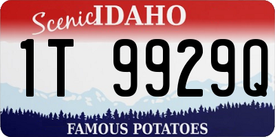ID license plate 1T9929Q