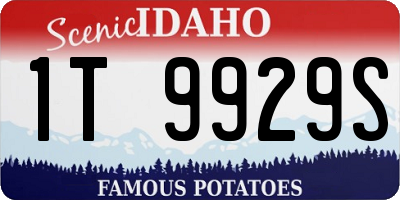 ID license plate 1T9929S