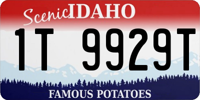 ID license plate 1T9929T