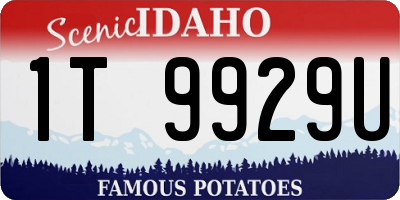 ID license plate 1T9929U