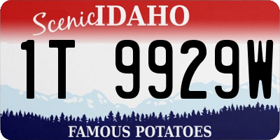 ID license plate 1T9929W