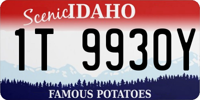 ID license plate 1T9930Y