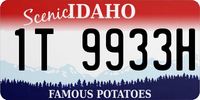 ID license plate 1T9933H