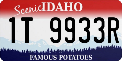 ID license plate 1T9933R