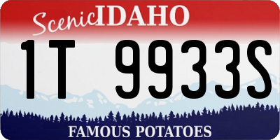 ID license plate 1T9933S