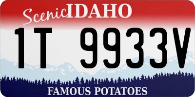 ID license plate 1T9933V
