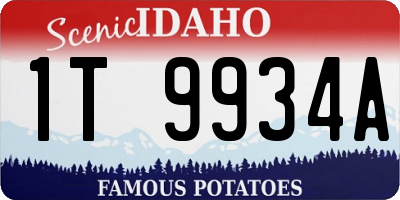 ID license plate 1T9934A