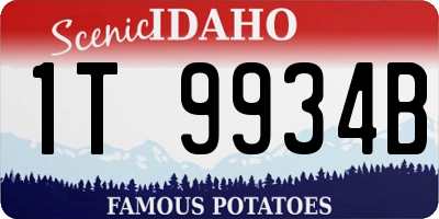 ID license plate 1T9934B