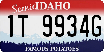 ID license plate 1T9934G