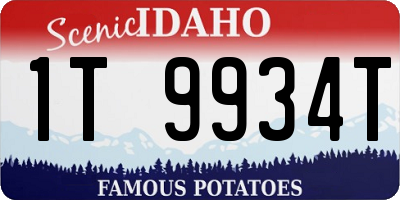 ID license plate 1T9934T