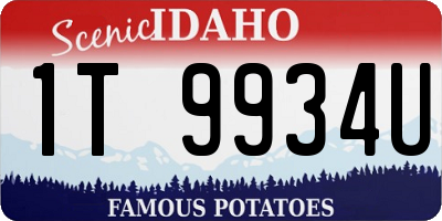 ID license plate 1T9934U