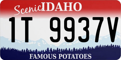 ID license plate 1T9937V