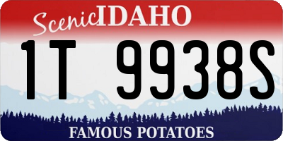 ID license plate 1T9938S