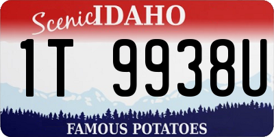 ID license plate 1T9938U
