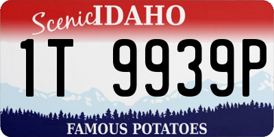 ID license plate 1T9939P