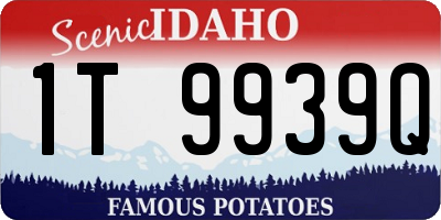 ID license plate 1T9939Q