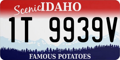 ID license plate 1T9939V