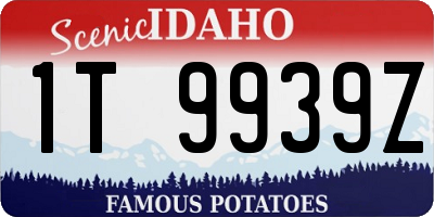 ID license plate 1T9939Z