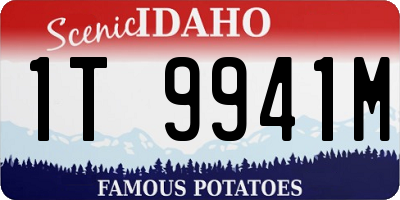 ID license plate 1T9941M