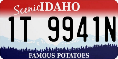 ID license plate 1T9941N