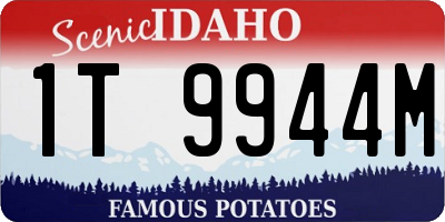 ID license plate 1T9944M