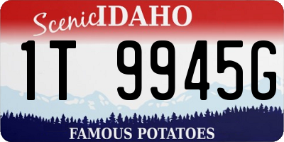 ID license plate 1T9945G