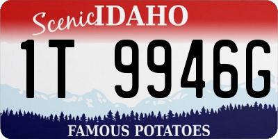 ID license plate 1T9946G