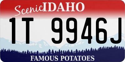 ID license plate 1T9946J
