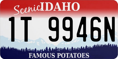 ID license plate 1T9946N